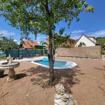 Appartement Au coeur des vignes à Bergheim Extérieur photo