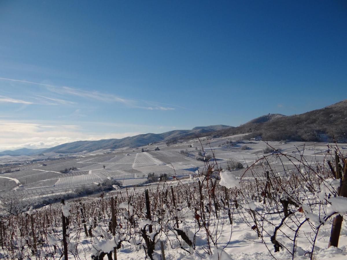 Appartement Au coeur des vignes à Bergheim Extérieur photo