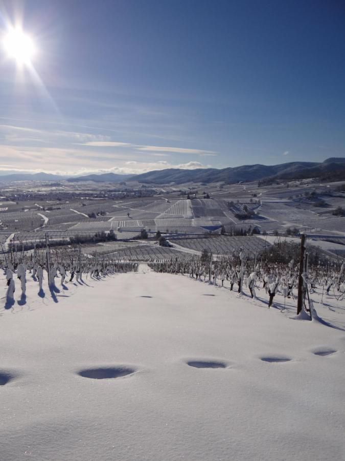 Appartement Au coeur des vignes à Bergheim Extérieur photo