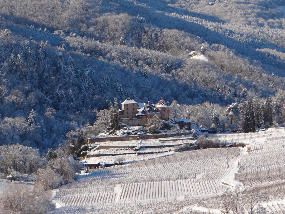 Appartement Au coeur des vignes à Bergheim Extérieur photo