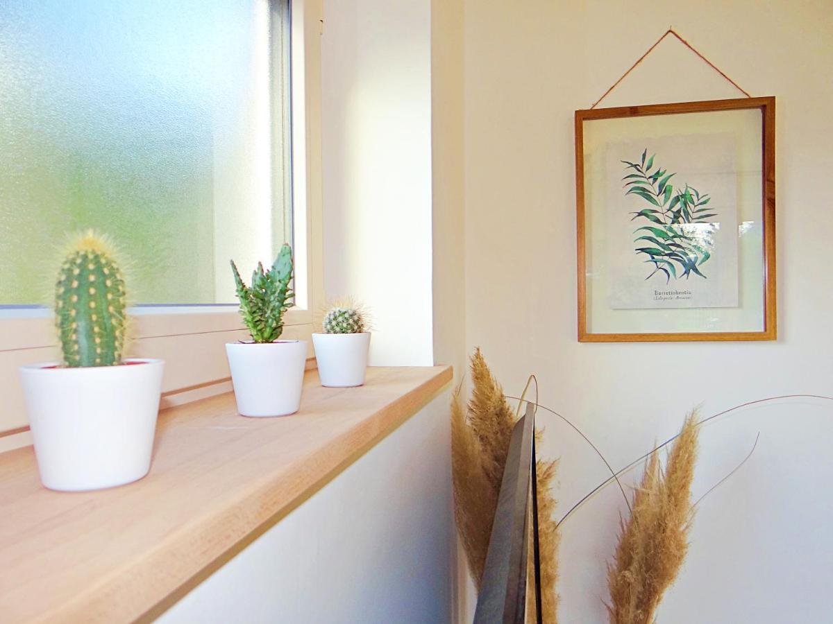 Appartement Au coeur des vignes à Bergheim Extérieur photo