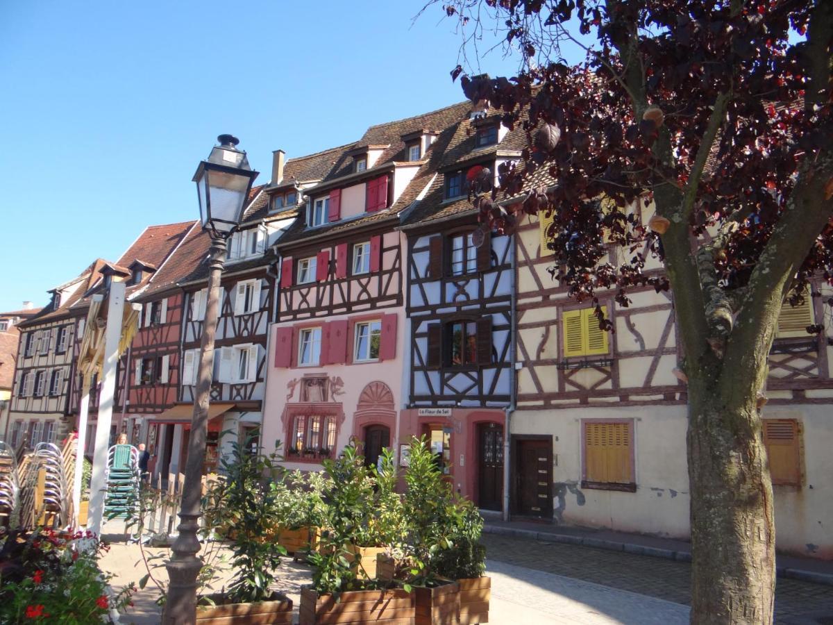Appartement Au coeur des vignes à Bergheim Extérieur photo