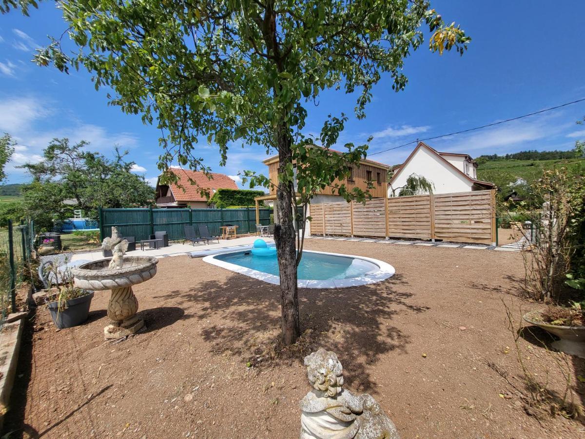 Appartement Au coeur des vignes à Bergheim Extérieur photo